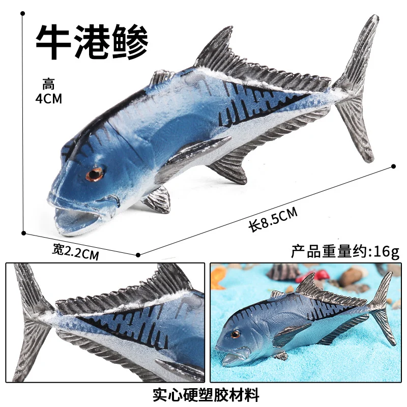 PL127-2769牛港鲹
