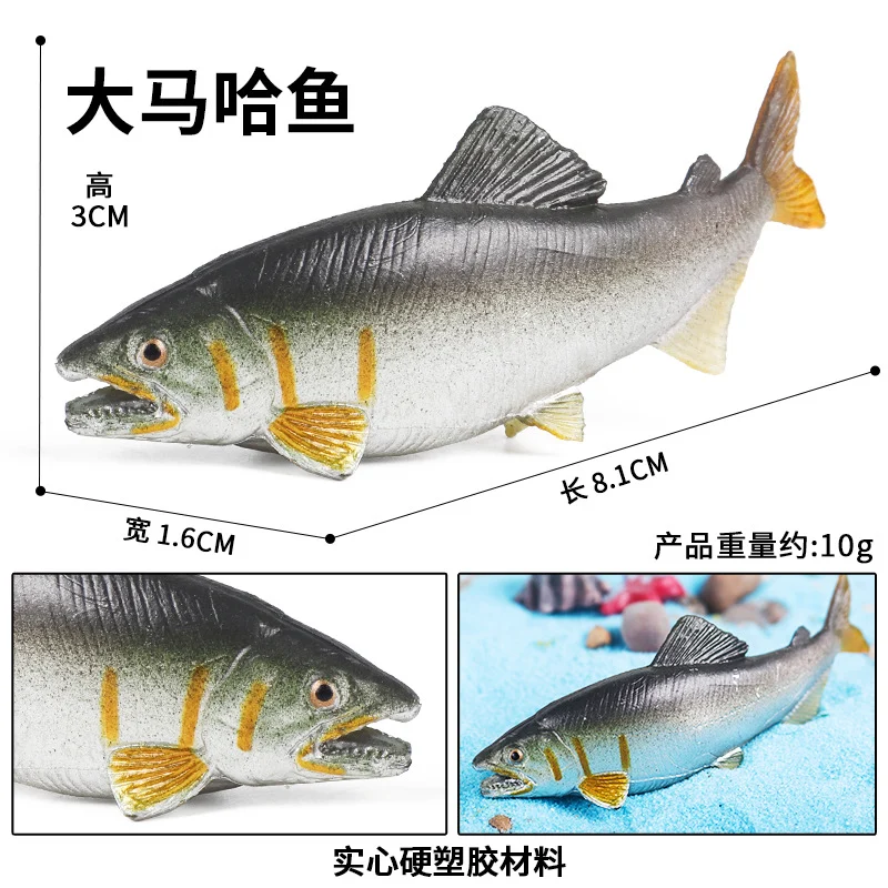 PL127-2772大马哈鱼