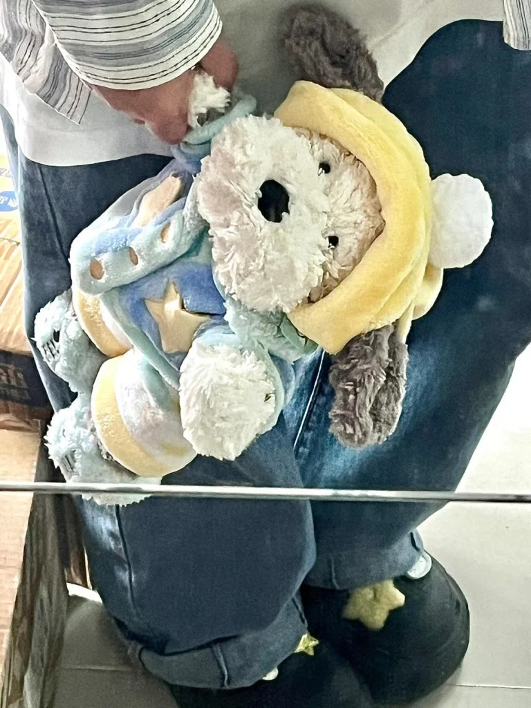 Puppy Plush Toy – Soft PP Cotton Filling | Cute Dog Doll -O1CN01eTYlXF1lv5nu9QTQB 2218786544880 0 cib scaled