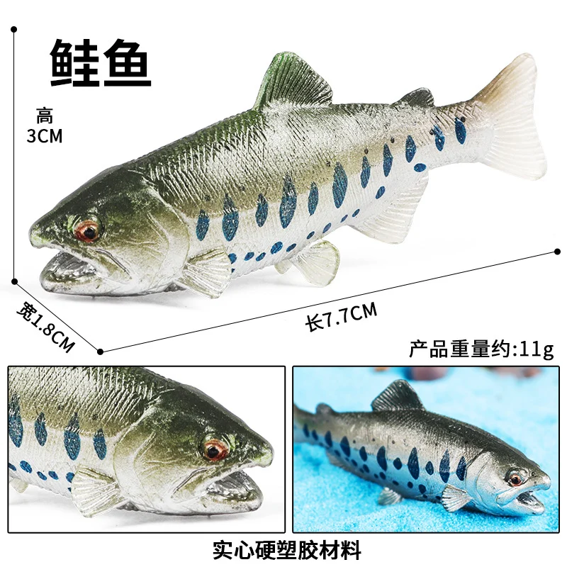 PL127-2773鲑鱼